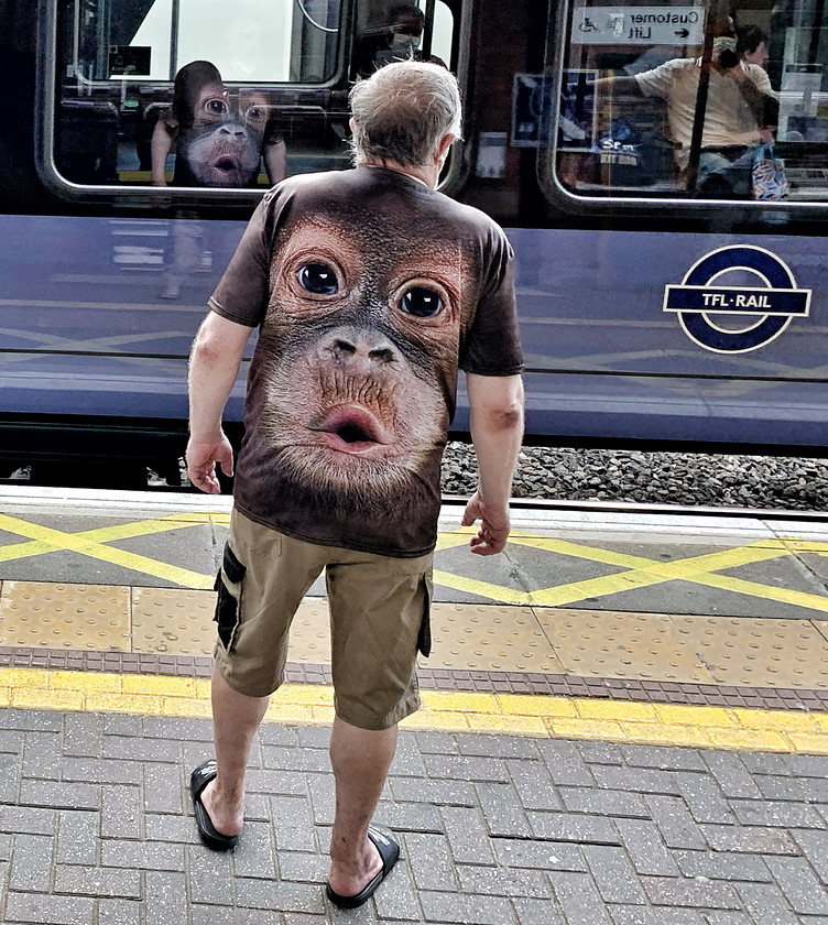 Monkey 4859 
 Slough Station 2020, iPhonography project while service disruption for Covid 19 
 Keywords: Slough, Railway, Station, Streetphotography, photography, abstract, selfie, trains, bridge, Berkshire